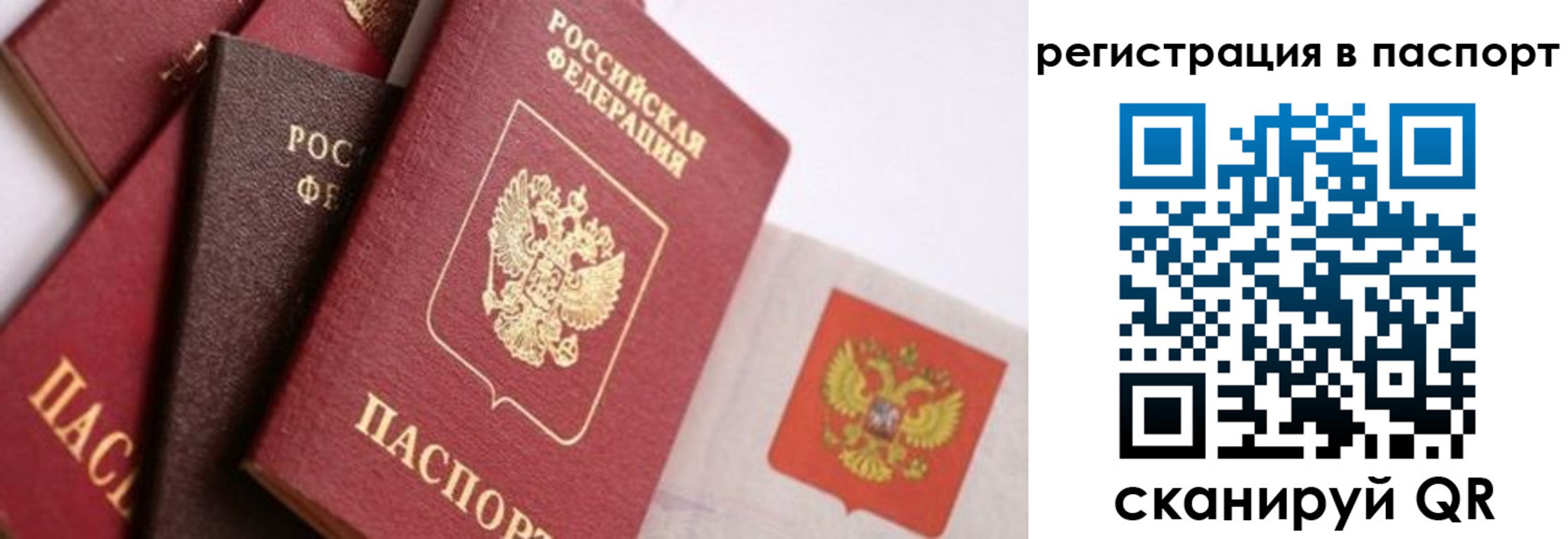 прописка в квартире в Нижегородской области